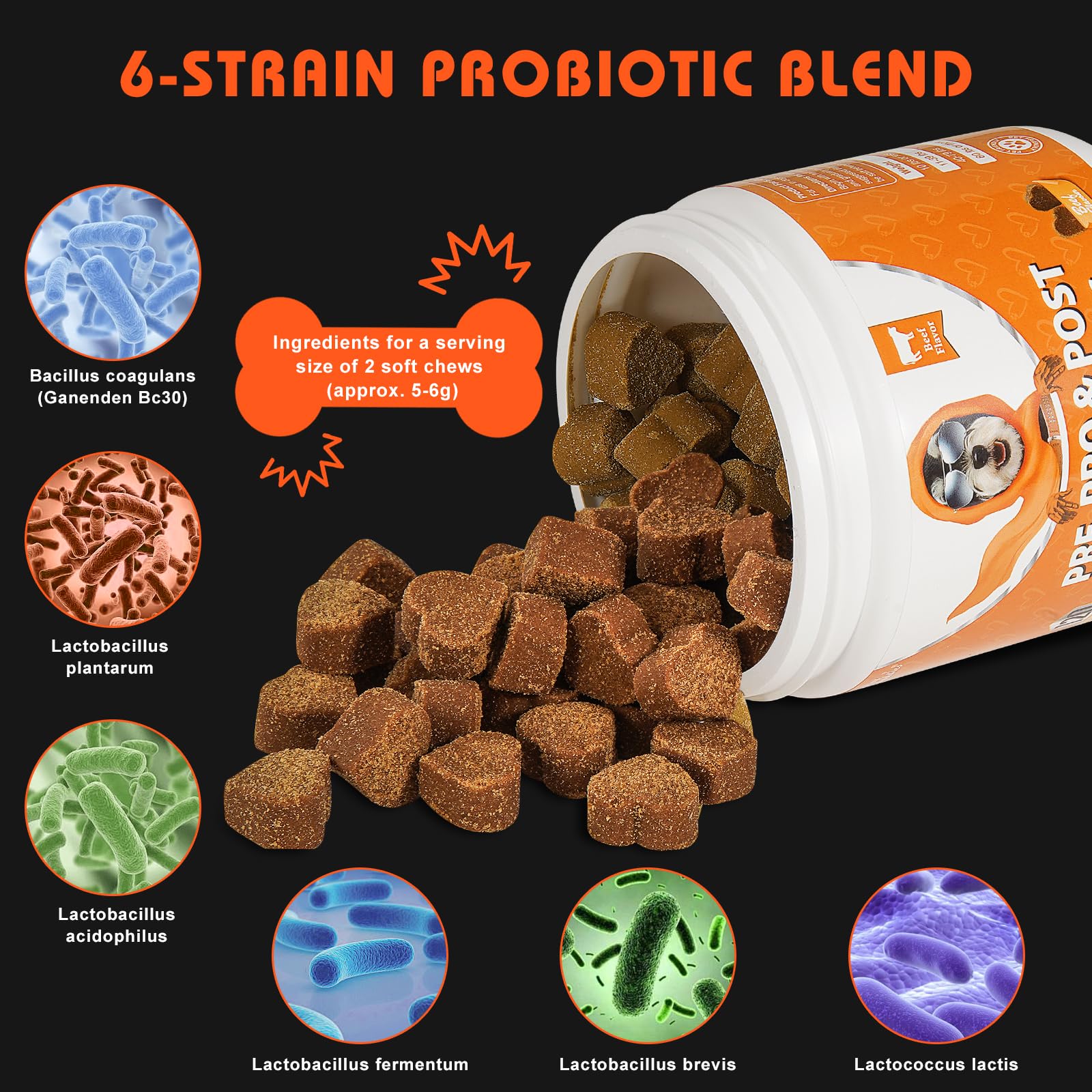 Probiotics for Dogs