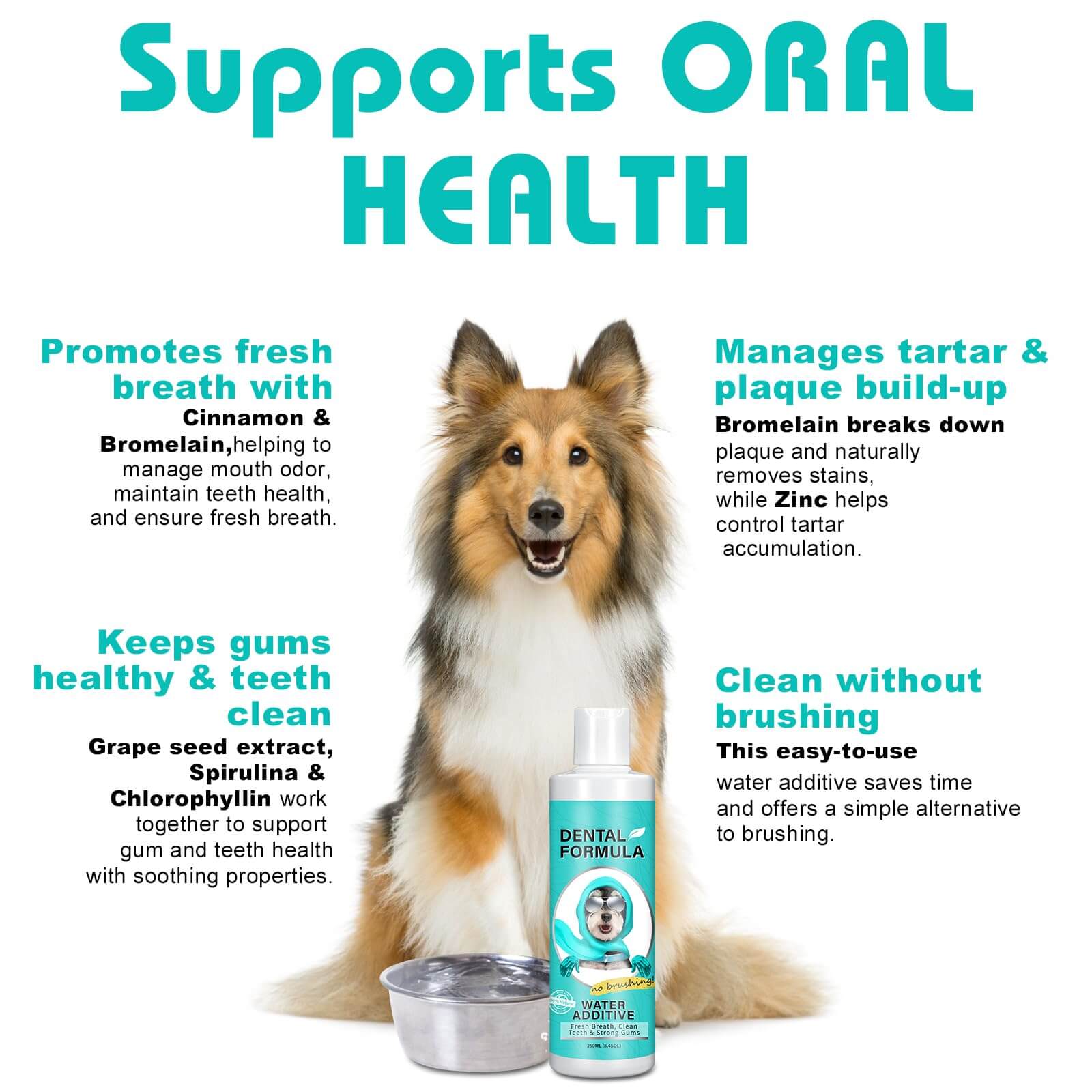 Dog with dental formula product and text about oral health benefits on a white background