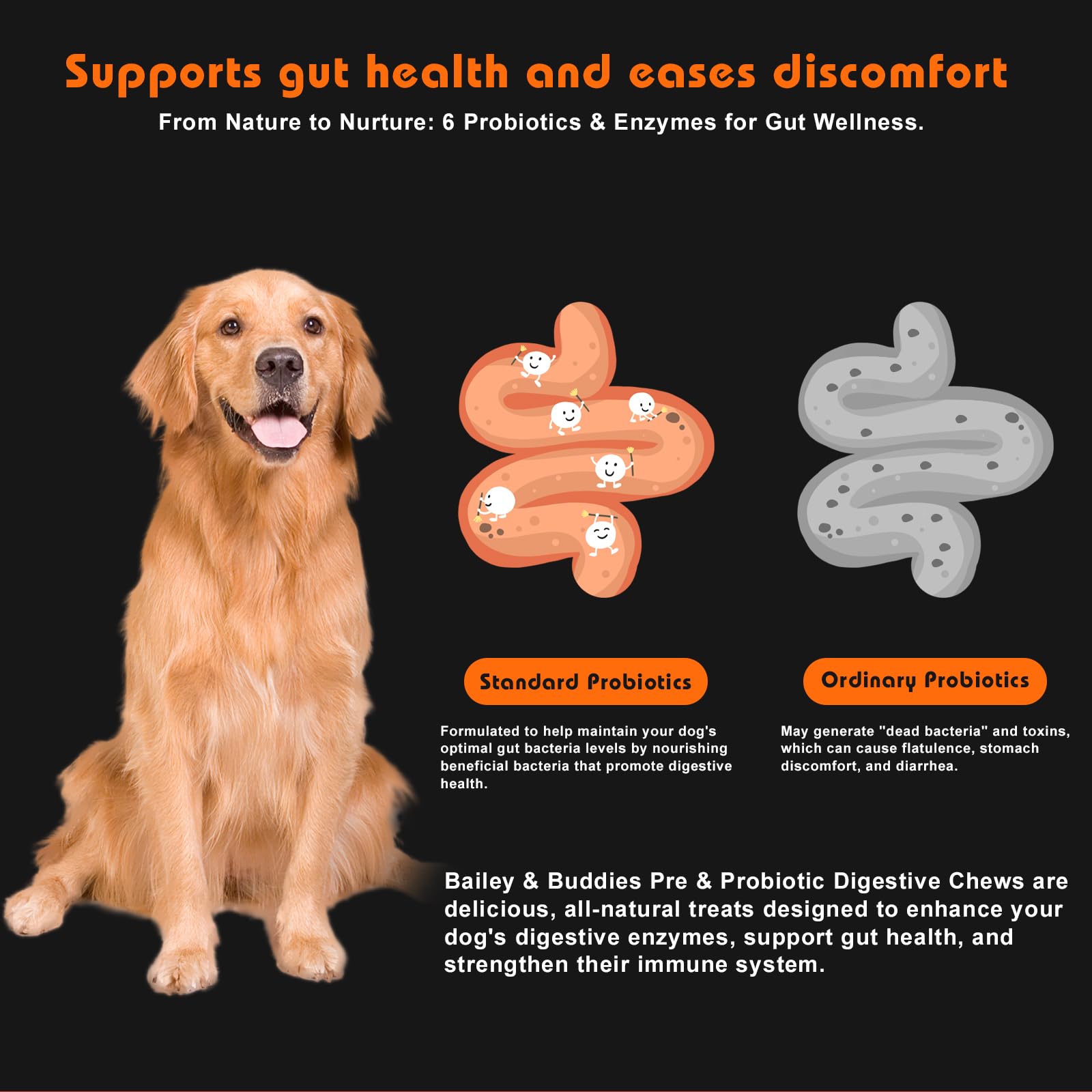 Probiotics for Dogs