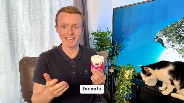 Cat Itch Relief Treats